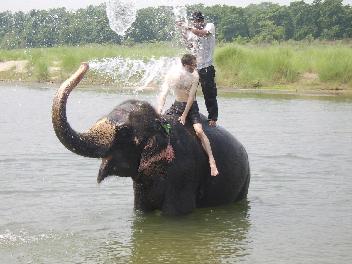 Rainbow Safari Resort Sauraha Exterior photo