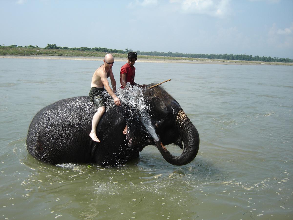 Rainbow Safari Resort Sauraha Exterior photo