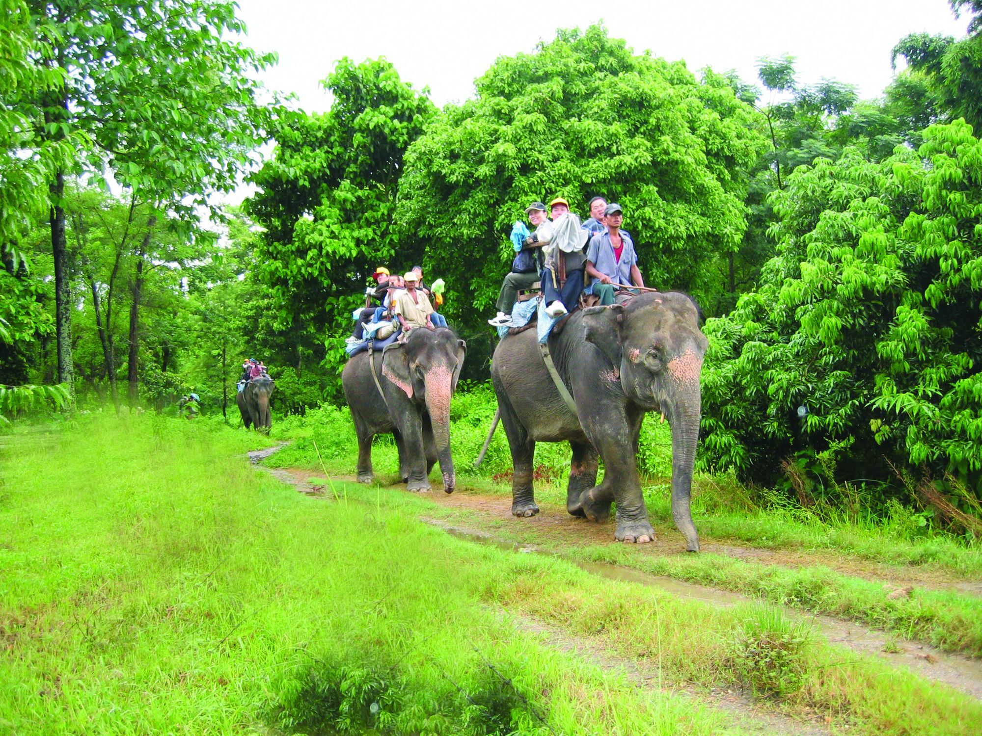 Rainbow Safari Resort Sauraha Exterior photo