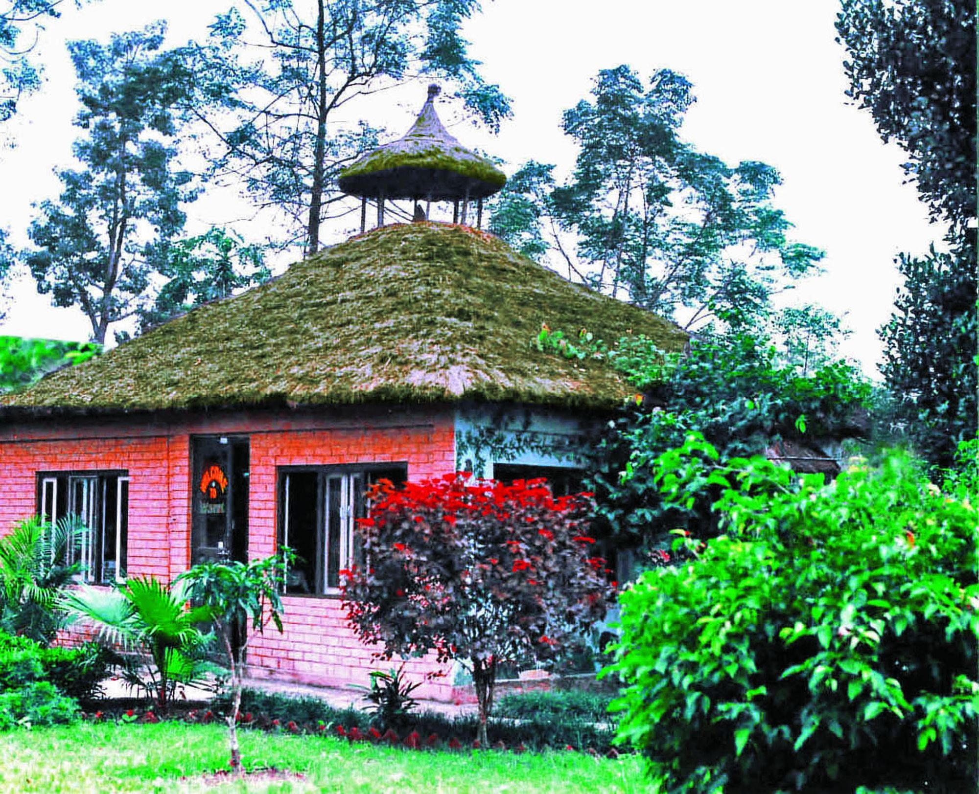 Rainbow Safari Resort Sauraha Exterior photo